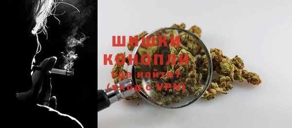 стаф Мегион