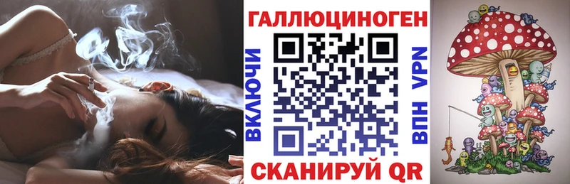 Купить где  Темрюк  Галлюциногенные грибы Psilocybe 